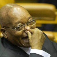 Zuma Holding Nose Laugh