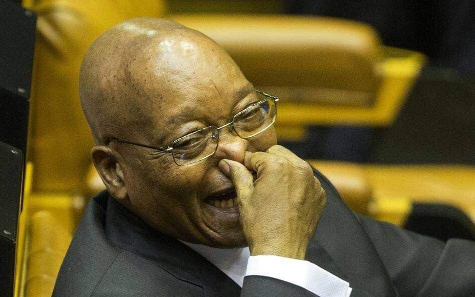 Zuma Holding Nose Laugh