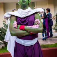 Cool piccolo cosplay