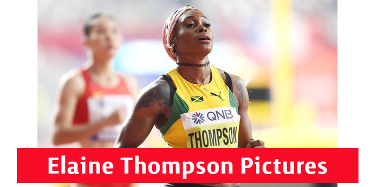 Elaine Thompson Gallery