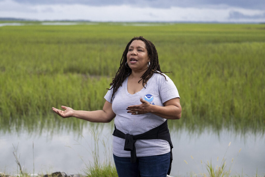 Gulah Geechee, South Carolina, gentrifier