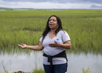 Gulah Geechee, South Carolina, gentrifier