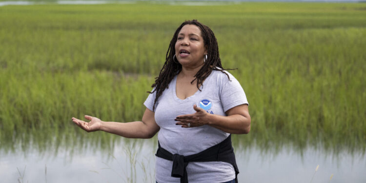 Gulah Geechee, South Carolina, gentrifier