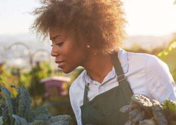 Black woman in green apron examining outdoor harvesting of plants