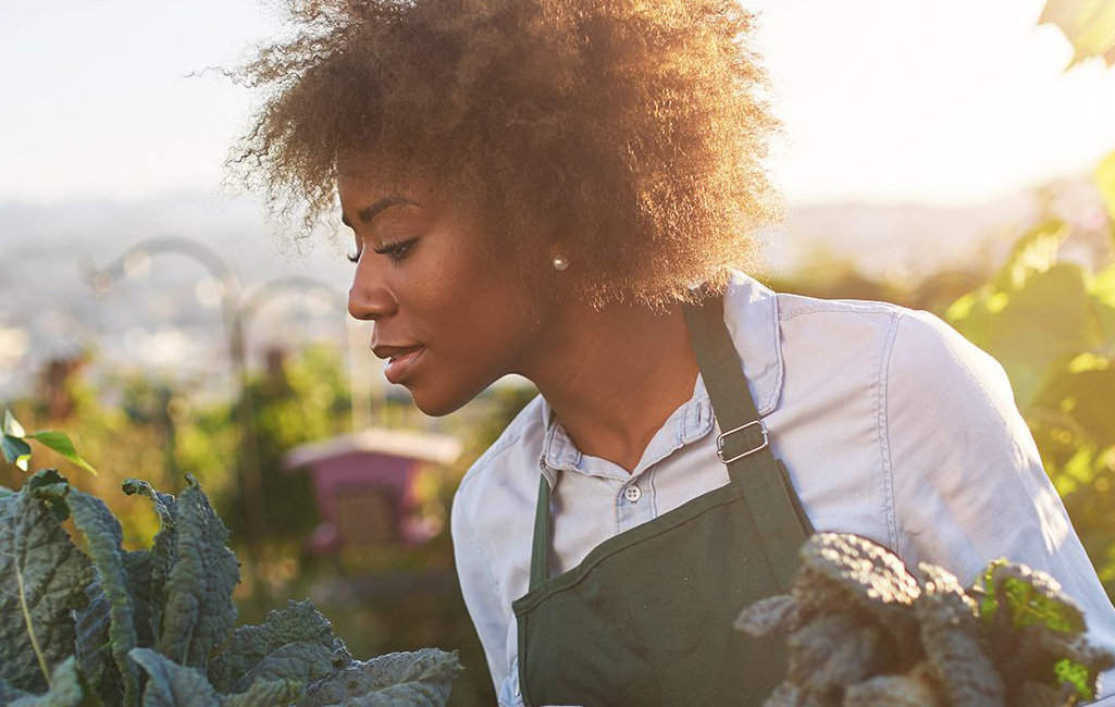 Black woman in green apron examining outdoor harvesting of plants