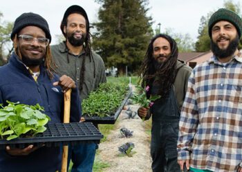 Black_farmers_ujamaa_farmer_collective.jpg